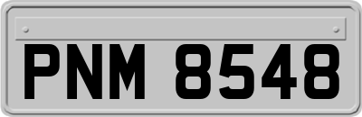 PNM8548