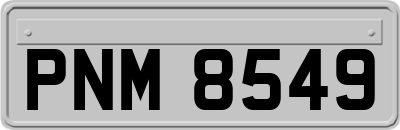 PNM8549