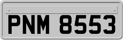 PNM8553