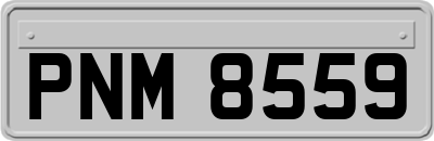 PNM8559