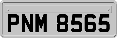 PNM8565