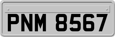PNM8567