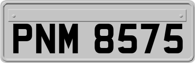 PNM8575