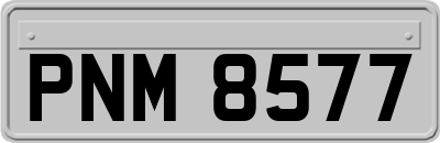 PNM8577