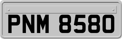 PNM8580