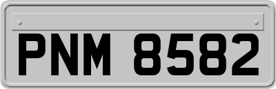 PNM8582