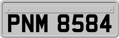 PNM8584