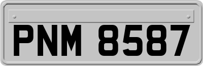 PNM8587