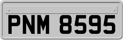 PNM8595