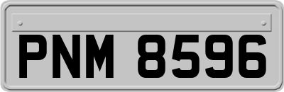 PNM8596