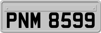 PNM8599