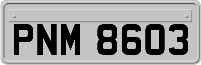 PNM8603
