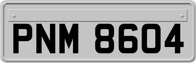 PNM8604