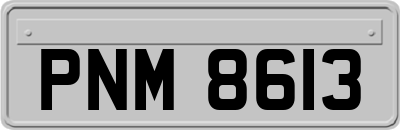 PNM8613