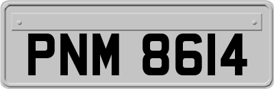 PNM8614