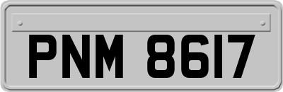 PNM8617