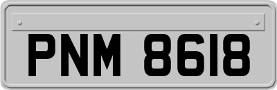 PNM8618