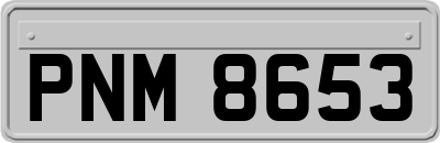 PNM8653