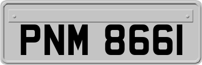 PNM8661