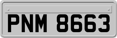 PNM8663
