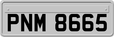PNM8665