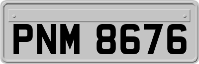 PNM8676