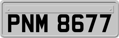 PNM8677