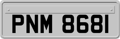 PNM8681