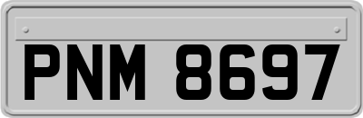 PNM8697