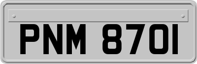 PNM8701