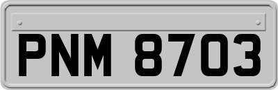 PNM8703