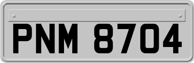PNM8704