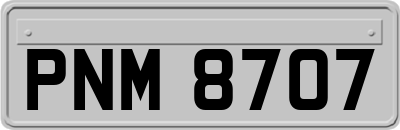 PNM8707