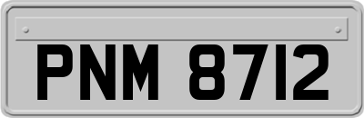PNM8712
