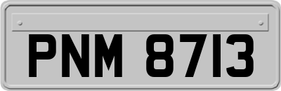 PNM8713