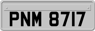 PNM8717