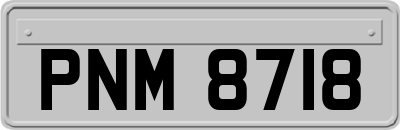 PNM8718