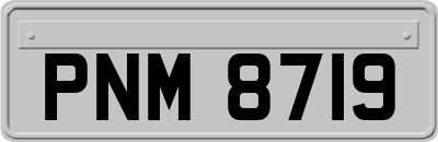 PNM8719