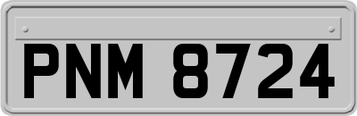 PNM8724