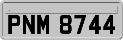 PNM8744