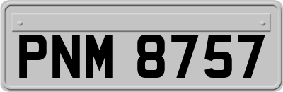 PNM8757