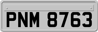 PNM8763