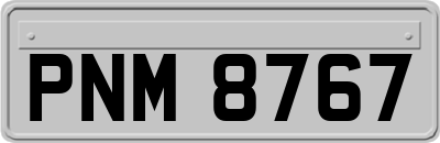 PNM8767