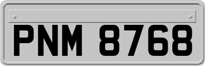 PNM8768