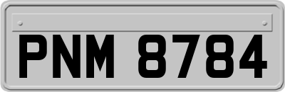 PNM8784