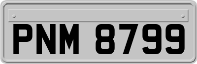 PNM8799