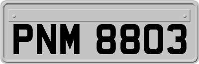 PNM8803