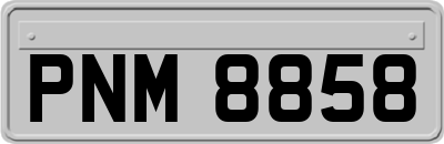 PNM8858