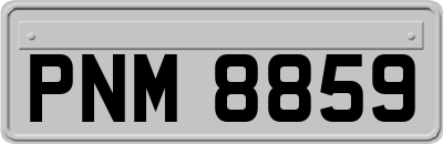 PNM8859