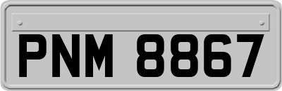 PNM8867
